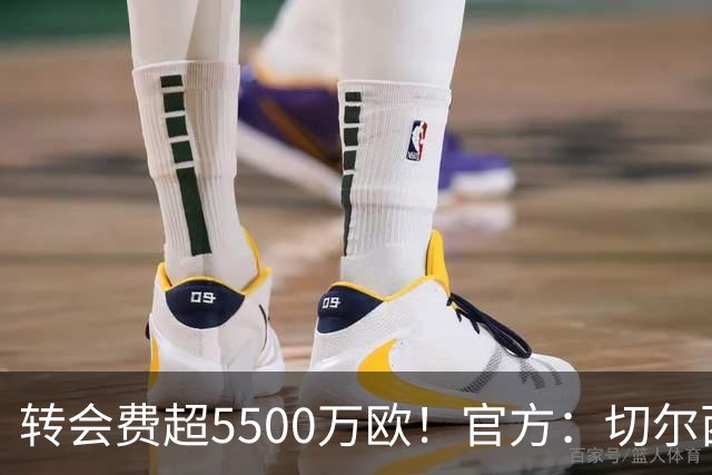 转会费超5500万欧！官方：切尔西签下21岁帕莱斯特拉，签约7年