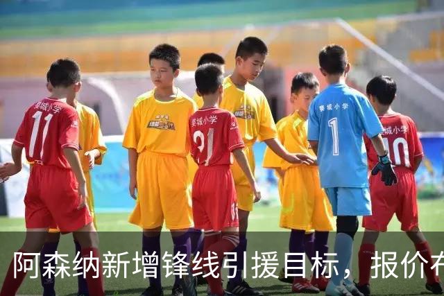 阿森纳新增锋线引援目标，报价布鲁日边锋，两赛季43球45助攻
